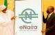 The Slow Uptake of eNaira in Nigeria Despite Severe Cash Shortages